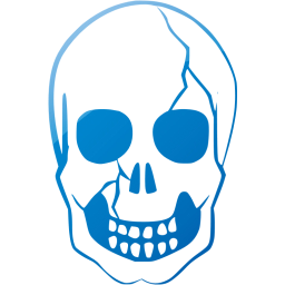 skull 37 icon