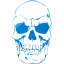 skull 41