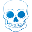 skull 55