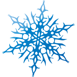 snowflake 14 icon