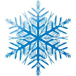 snowflake 37 icon