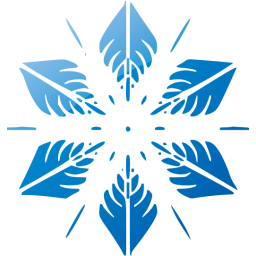 snowflake 5 icon