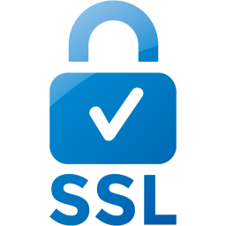 ssl badge 2 icon