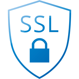 ssl badge icon