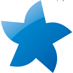 star 21 icon