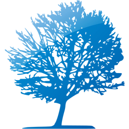 tree 11 icon