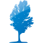 tree 17