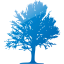 tree 18