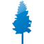 tree 19