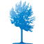 tree 2