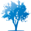 tree 21
