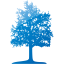 tree 26
