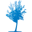 tree 27