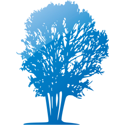 tree 31 icon