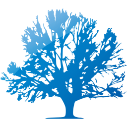 tree 41 icon