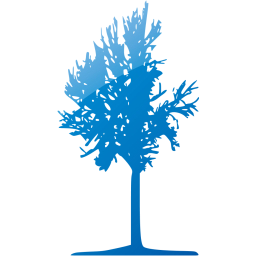 tree 42 icon