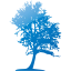 tree 43