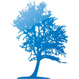 tree 43 icon