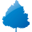 tree 47