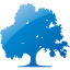 tree 49