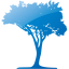 tree 51