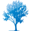tree 68