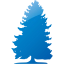 tree 70