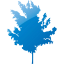 tree 71