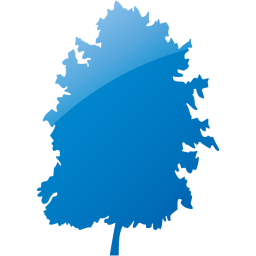 tree 73 icon