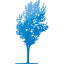 tree 80