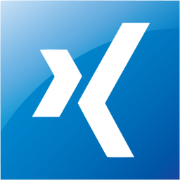 xing 2 icon