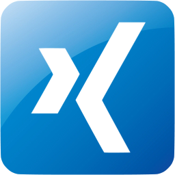 xing 3 icon