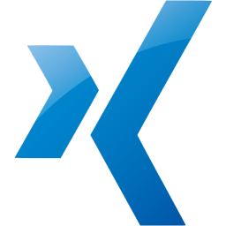 xing icon