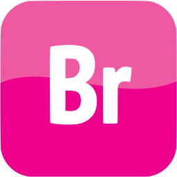 adobe br icon