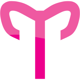 aries 2 icon