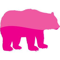 bear 2 icon