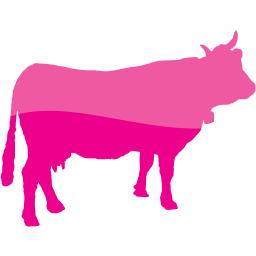 cow 2 icon