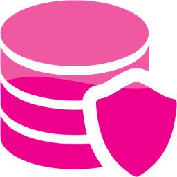 data protection icon
