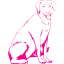 dog 13