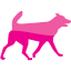 dog 32