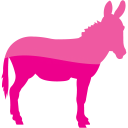 donkey 2 icon