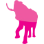 elephant 2