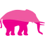 elephant 5