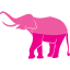 elephant 6