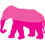 elephant 7