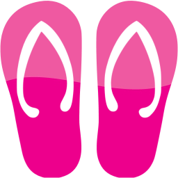 flip flop icon