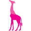 giraffe 2