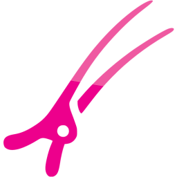 hair clip icon