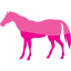 horse 4