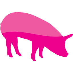 pig 5 icon